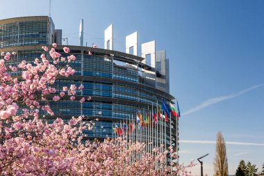 Strasbourg, Fransa - 6 Nisan 2018: Avrupa Parlamentosu Merkez bloom sakura çıtır kiraz ağacı ile bir sıcak bahar sabahı bütün Avrupa Birliği bayrakları sallayarak