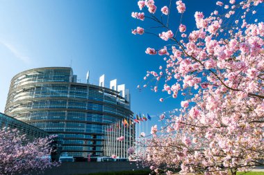 Strasbourg, Fransa - 6 Nisan 2018: Avrupa Parlamentosu binasında sıcak bahar sabahı bütün Avrupa Birliği bayrağı sallayarak ile bloom sakura çıtır kiraz ağacı ile