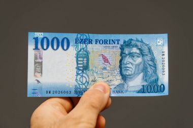 Paris, Fransa - 1 Nisan 2018: gri arka plan kağıt para birimi para ön karşı 1000 tutan adam Macar Forint