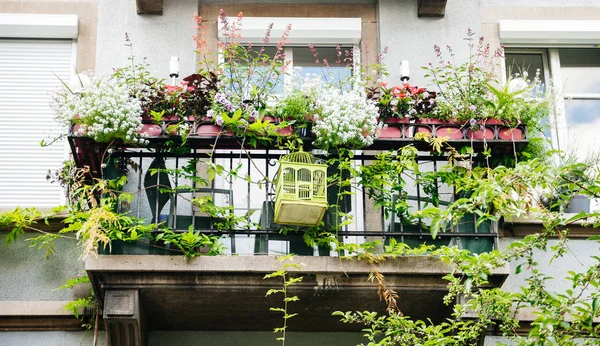 Typical French balcony with flower pots seen from below of a French street in summer