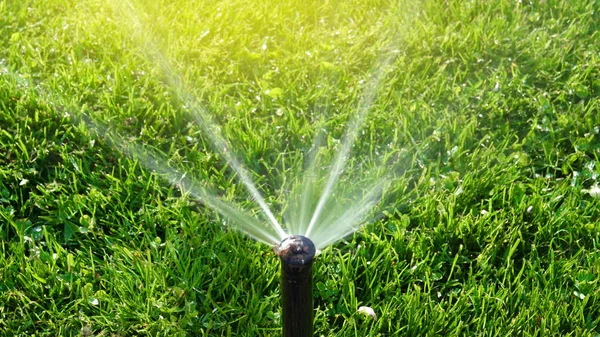 Garden water sprinkler with flare — Stock Photo, Image