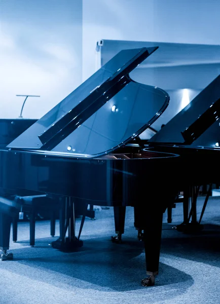 Luksusowy piano grand roayl koncert w luksusowym pokoju — Zdjęcie stockowe