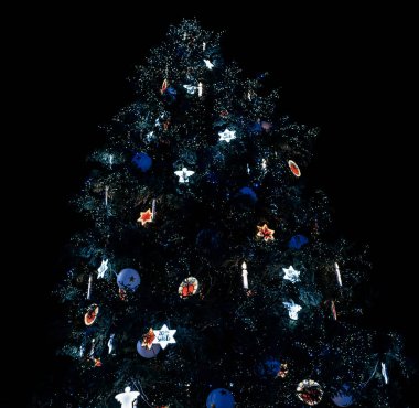 Strazburg şehir merkezindeki Noel Ağacı Noel Pazarı başkenti