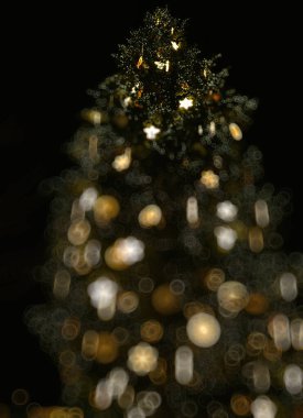 Strazburg şehir merkezindeki Noel Ağacı Noel Pazarı başkenti