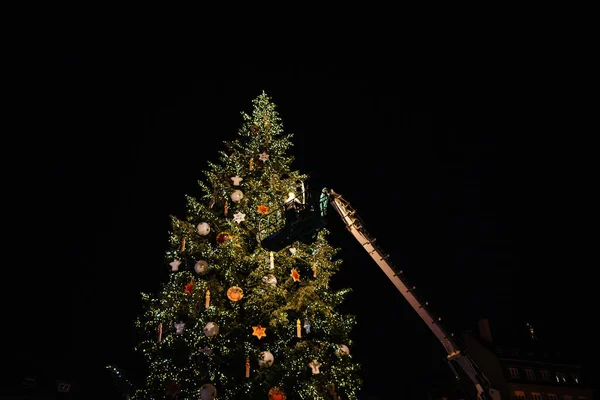 Pria di atas platform raksasa crane dekorasi pohon Natal — Stok Foto