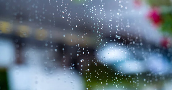 Close-up of glass window surface with rain drops on the outside and defocused leaves of a — ストック写真