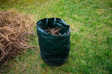 Bahçe baharı çalışır - yeşil atıklarda ağaç kesme ve düzenleme