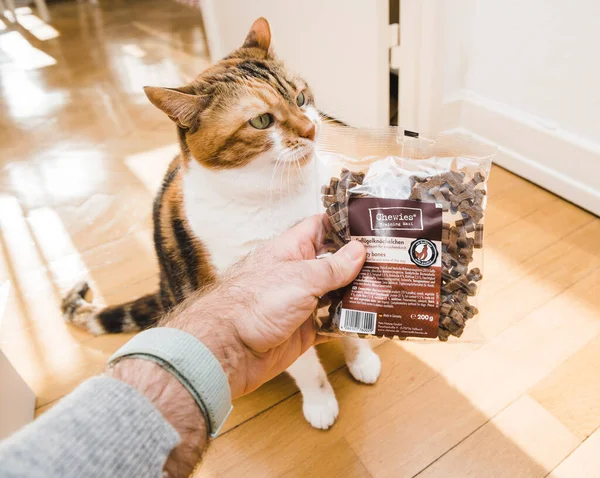 Man offering to curious cat package of fresh Chewies doog food — Stock Photo, Image