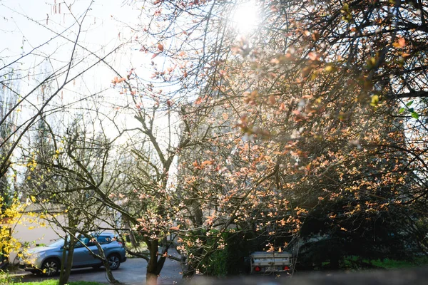 Frühling ist in der leeren Stadt Lockdown wegen Coronavirus Autos auf den Straßen geparkt — Stockfoto