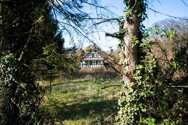 View of abandoned Alsatian house seen through scary forest — Stock Photo, Image