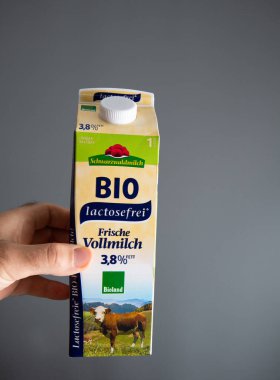 Paris, Fransa - 2 Ekim 2019: Bio Schwarzwald Frische Vollmilch 'in gri arkaplan paketiyle yüzde 3,8 oranında inek sütü içeren erkek el POV kişisel perspektifi