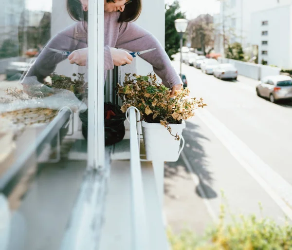 Jardinería mujer cuidando sus plantas en jardiniere ventana durante el cierre general —  Fotos de Stock