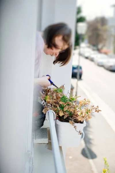 Žena zahradničení starat se o své rostliny v okenní jardiniere během celkového uzamčení — Stock fotografie
