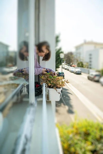 Mulher jardinagem cuidando de suas plantas em jardiniere janela durante o confinamento geral — Fotografia de Stock