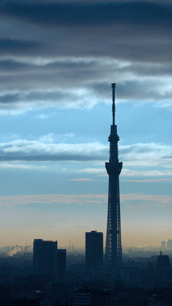 Tokyo Sky tree silhouette building.