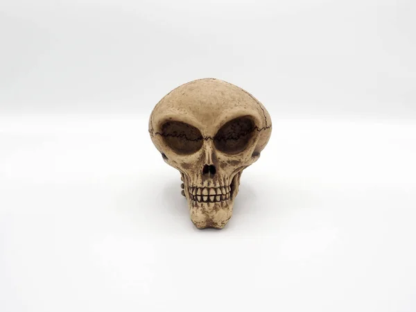 Alien schedel model — Stockfoto