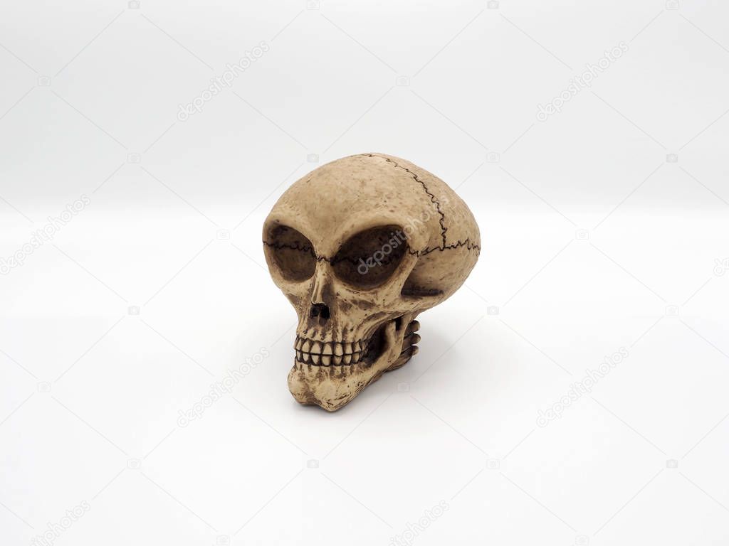 Alien skull model