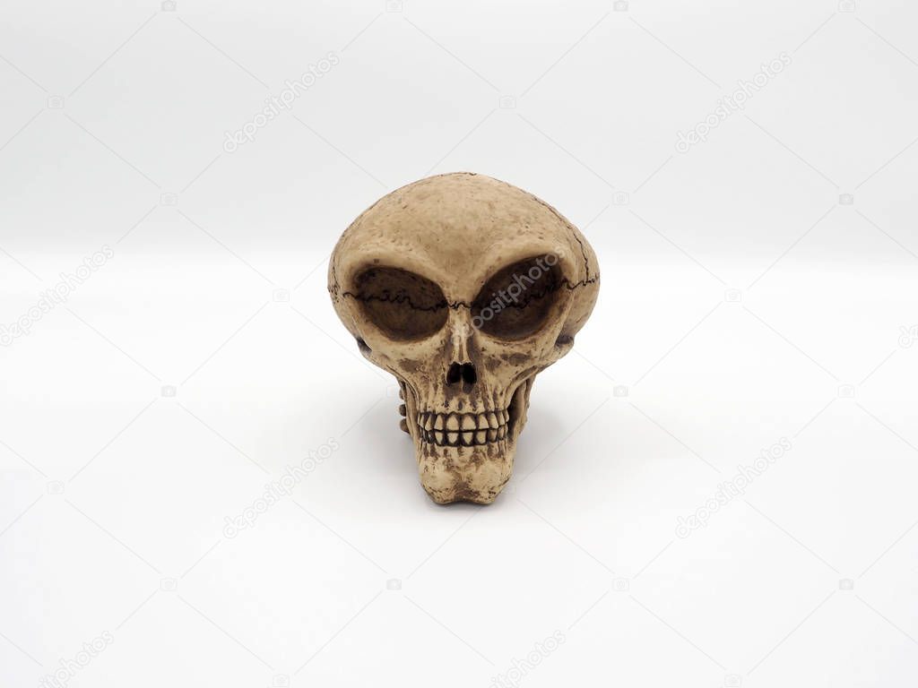 Alien skull model