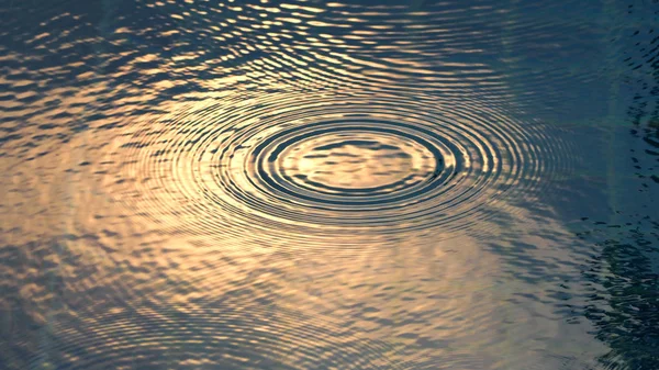 スイミング プールに雨の滴. — ストック写真