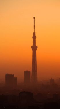 Tokyo gökyüzü ağaç yapı silüeti.