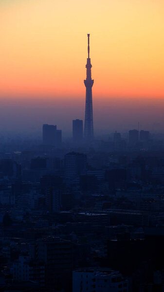 Silhouette of Tokyo sky tree building.