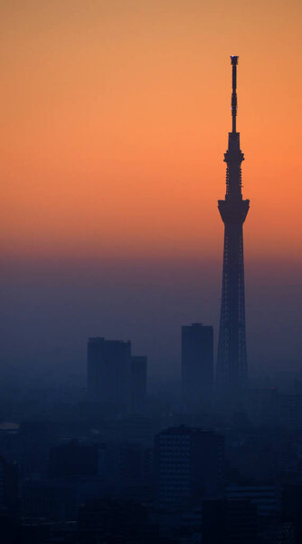 Silhouette of Tokyo sky tree building.