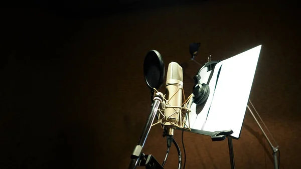 Microphone with shockmount and pop filter — Stock Photo, Image