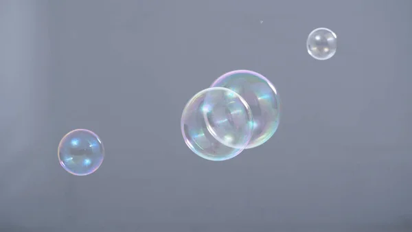 Tvål Eller Schampo Bubblor Flyter Luften Genom Blåsa Som Representerar — Stockfoto