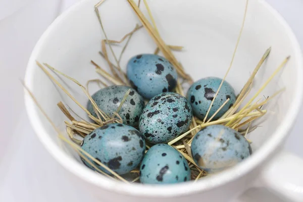 Colored Blue Quail Eggs Easter Plate — Stock Photo, Image