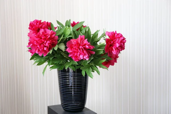 bir buket çiçek koyu kırmızı çiçekler peonies bahar sonu ve yaz başında beyaz arka plan üzerinde