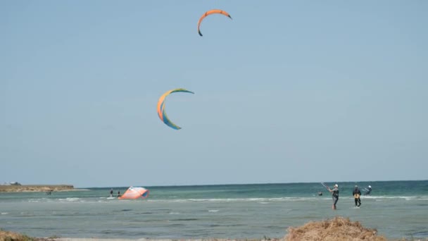 Cerfs Volants Volant Dans Ciel — Video