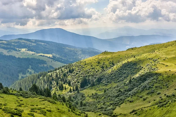 Сонячний день в Карпатах — стокове фото