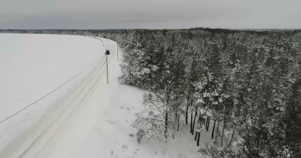 Střelba s vzduchu silnice procházející podélně zasněženém lese — Stock video