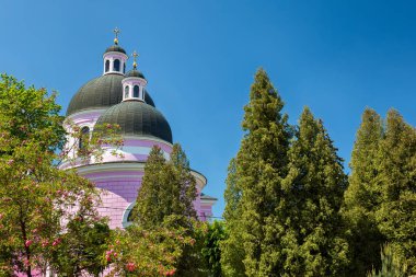 Yeşil ağaçların içinde katedral Wrapped