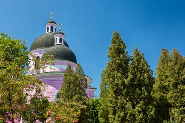 Yeşil ağaçların içinde katedral Wrapped