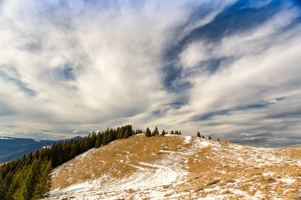 Neve coberto abetos em montanhas . — Fotografia de Stock
