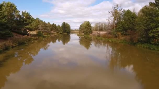 Légifotó a a folyó mentén az erdő — Stock videók