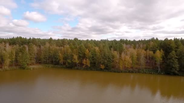 Letecká fotografie řeky tekoucí podél lesa — Stock video