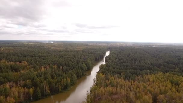 Luchtfoto's van de rivier stroomt langs het bos — Stockvideo