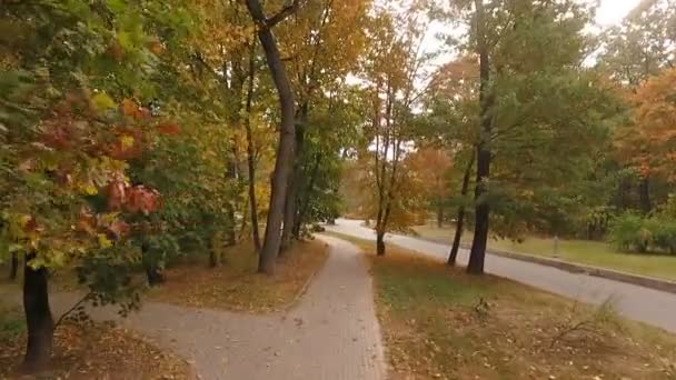 Hermosos tramos sobre los caminos del parque en el quadrocopter — Vídeos de Stock