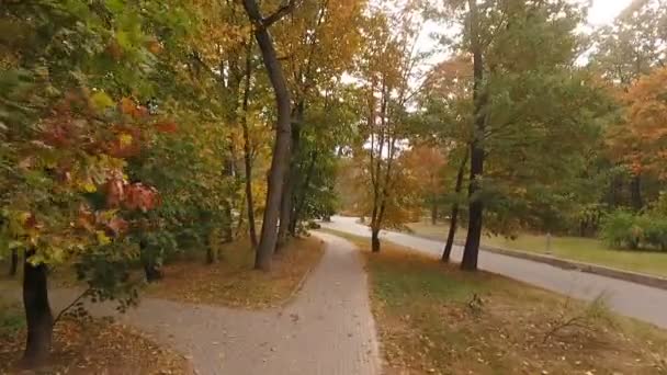 Bela extensão sobre os caminhos do parque no quadricóptero — Vídeo de Stock