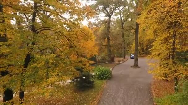 S'étend sur les sentiers du parc d'automne — Video