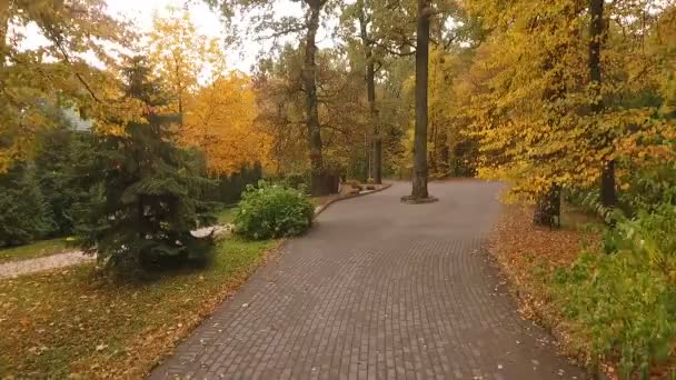 Beautiful spans over the park paths on the quadrocopter — Stock Video