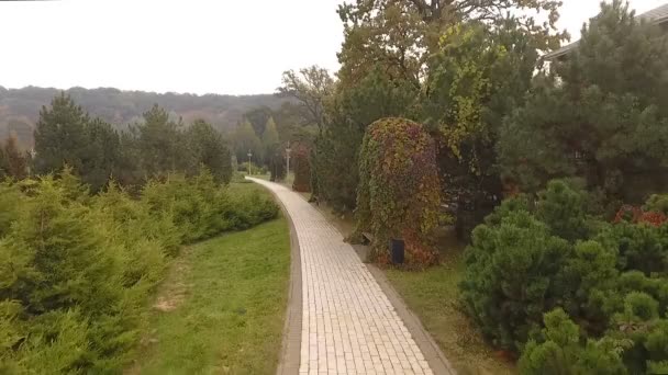 아름 다운 범위는 quadrocopter에서 공원 경로 통해 — 비디오