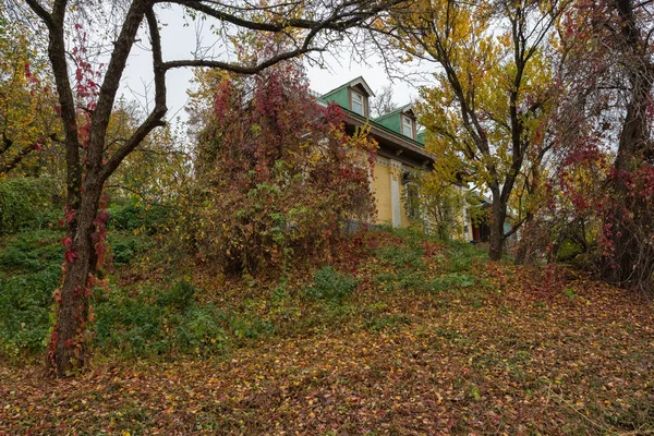 Automne dans le jardin botanique — Photo