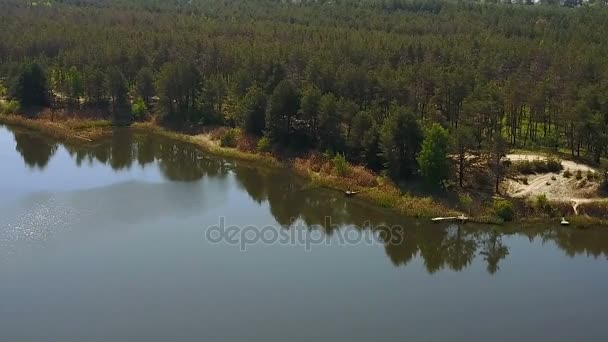 Areal view of winding river — Stock Video