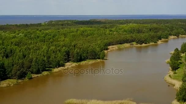 Areala utsikt över slingrande flod — Stockvideo