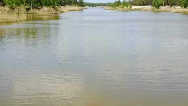蜿蜒的河流的平面视图 — 图库视频影像