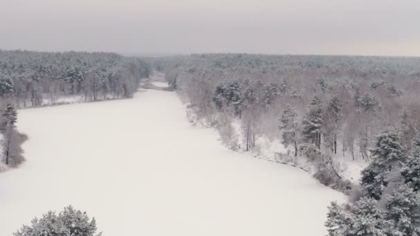 Luchtfoto onderzoek vanuit de lucht. Snow Forest — Stockvideo