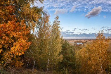 Gölü kaplayan sonbahar yeşillikleri. Kırmızı ve sarı renkli güzel ağaçlar..